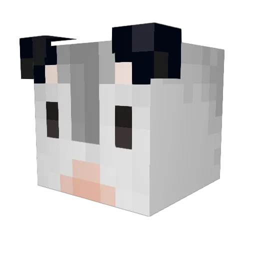 gavinislame Minecraft avatar head, 3D render