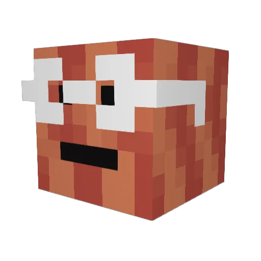 gavinr25 Minecraft avatar head, 3D render