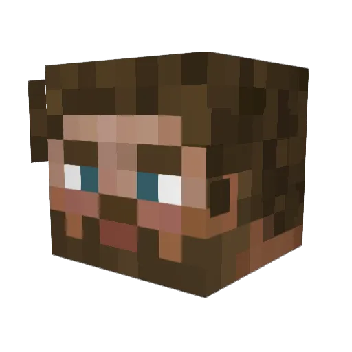 gavinswagger Minecraft avatar head, 3D render