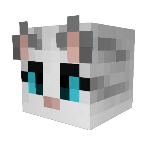 gaycat Minecraft avatar head, 3D render
