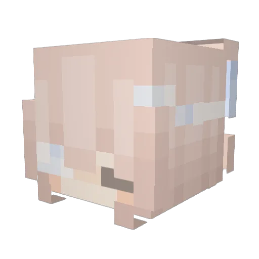 gayfantasy Minecraft avatar head, 3D render