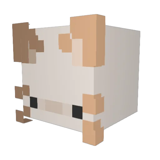 gayforferrets Minecraft avatar head, 3D render