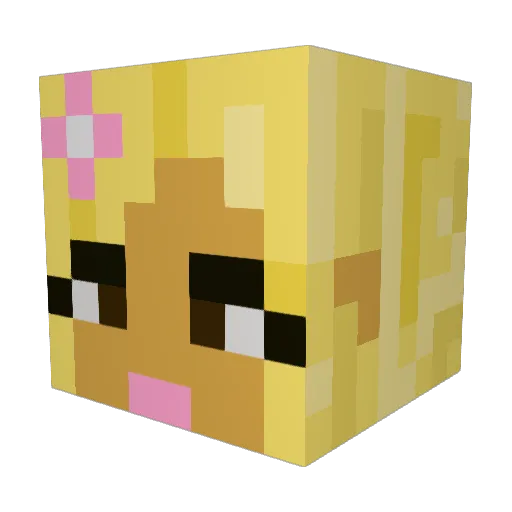 gaylittlecat Minecraft avatar head, 3D render