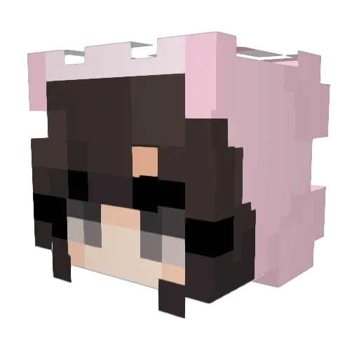 gbcprincess Minecraft avatar head, 3D render
