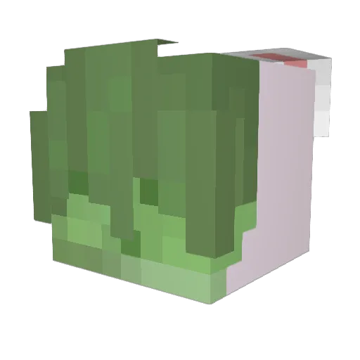 gbrszev Minecraft avatar head, 3D render