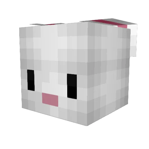 gbunny64 Minecraft avatar head, 3D render