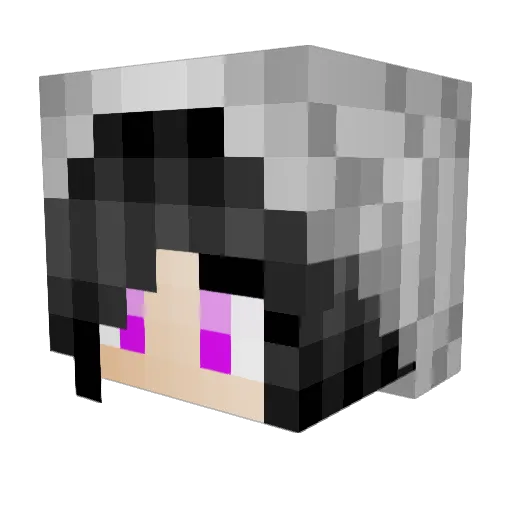 gd0003 Minecraft avatar head, 3D render