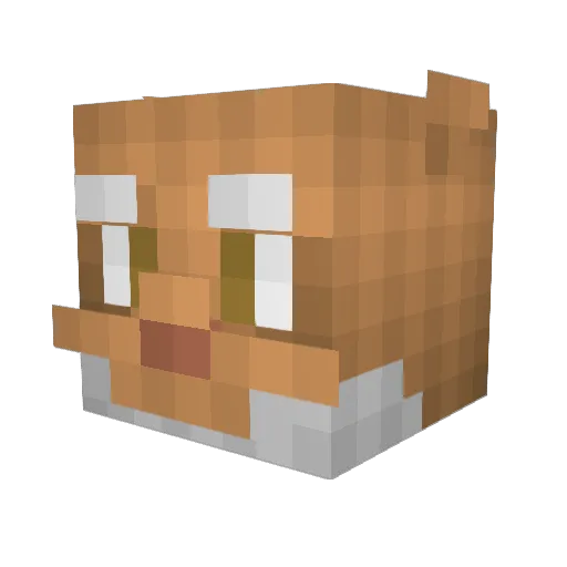 gdog1 Minecraft avatar head, 3D render