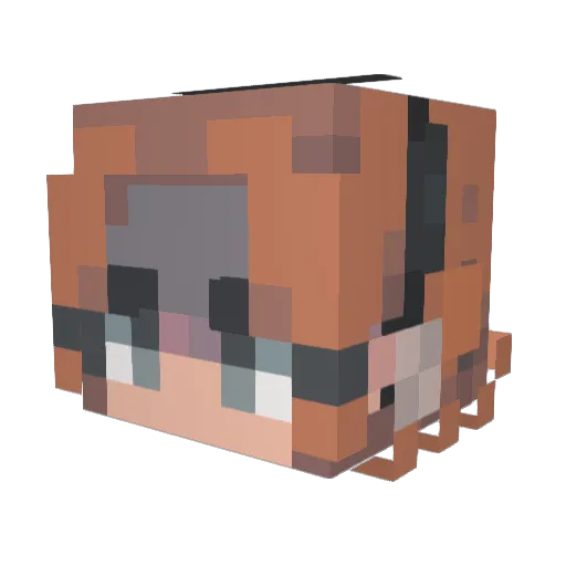 gds43 Minecraft avatar head, 3D render