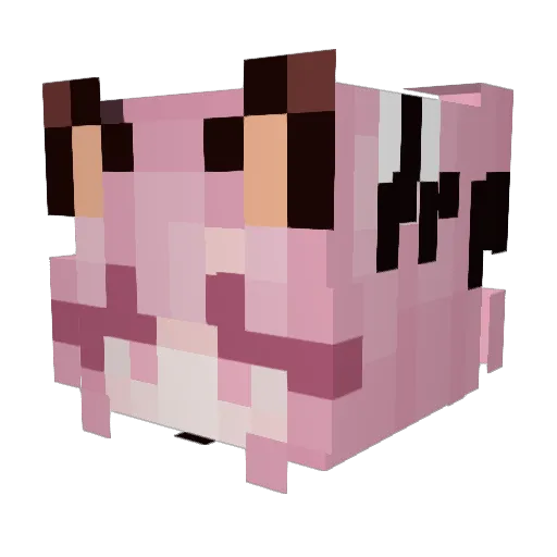 geckeaux Minecraft avatar head, 3D render