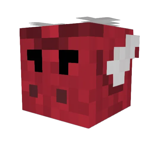 geekymonkey573 Minecraft avatar head, 3D render