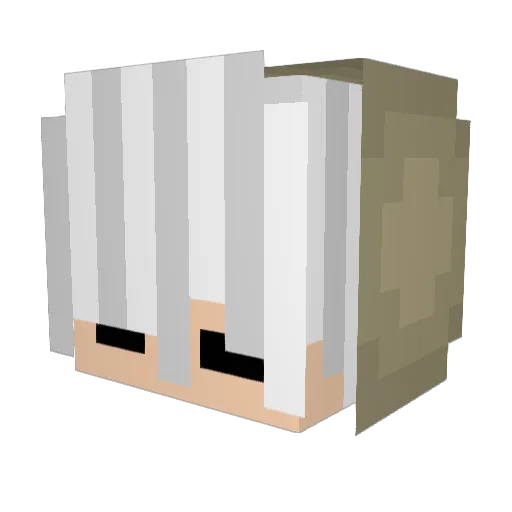gefxhrvoll Minecraft avatar head, 3D render