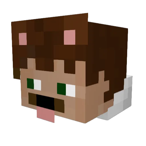 gehassterJunge Minecraft avatar head, 3D render