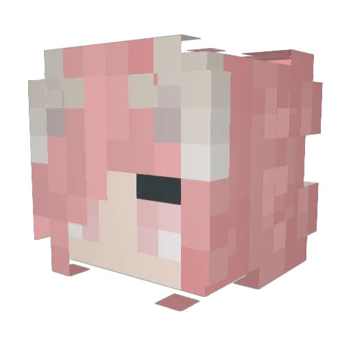 geilesau13 Minecraft avatar head, 3D render