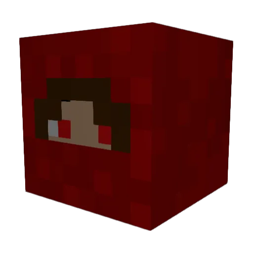 gekko1996 Minecraft avatar head, 3D render