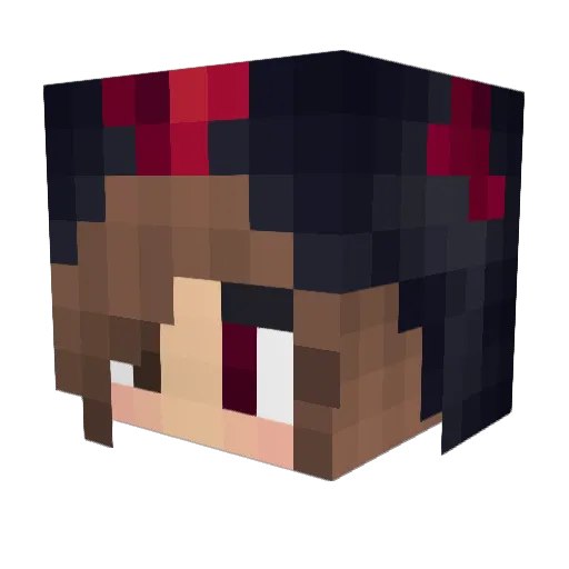 geldwaesche Minecraft avatar head, 3D render