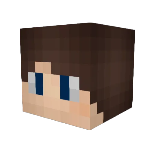 geneSW1 Minecraft avatar head, 3D render