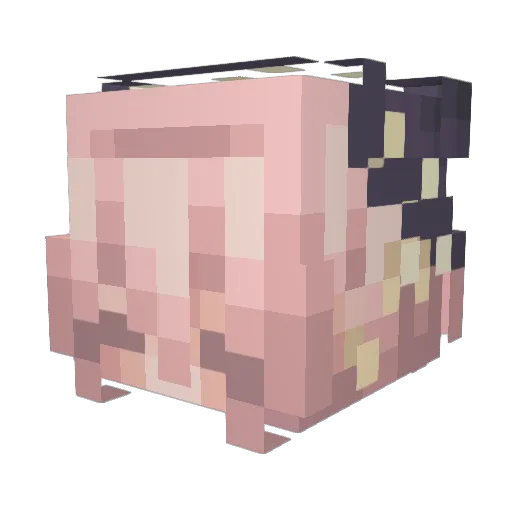 genesis67852 Minecraft avatar head, 3D render