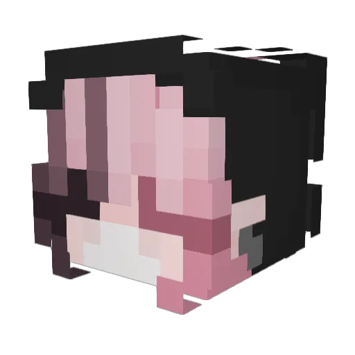 geniusdsss Minecraft avatar head, 3D render