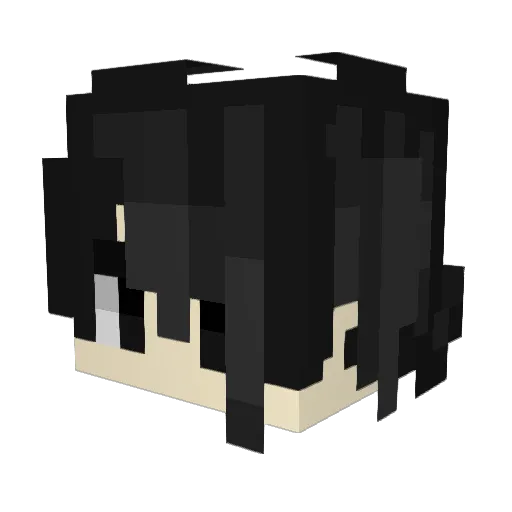 geniusz9 Minecraft avatar head, 3D render