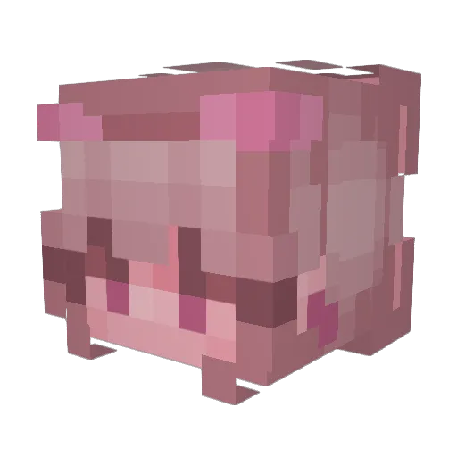 genmor7 Minecraft avatar head, 3D render