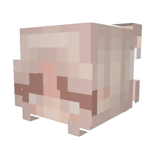 genniewithag Minecraft avatar head, 3D render