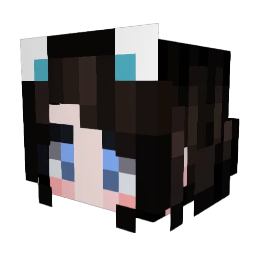 gensou8901 Minecraft avatar head, 3D render