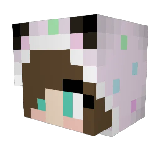 gentlemanpig Minecraft avatar head, 3D render