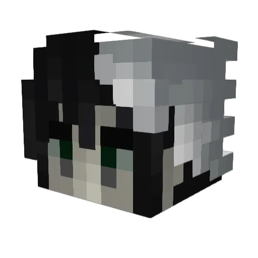geo_deceas3d Minecraft avatar head, 3D render
