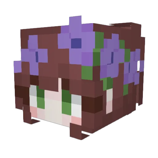 geofeed Minecraft avatar head, 3D render