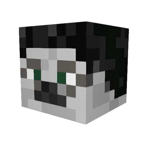 geoffreyF Minecraft avatar head, 3D render