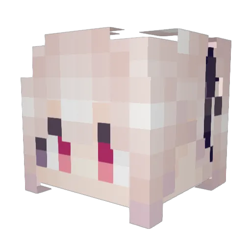 geopelia2007 Minecraft avatar head, 3D render