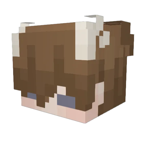 georqle Minecraft avatar head, 3D render