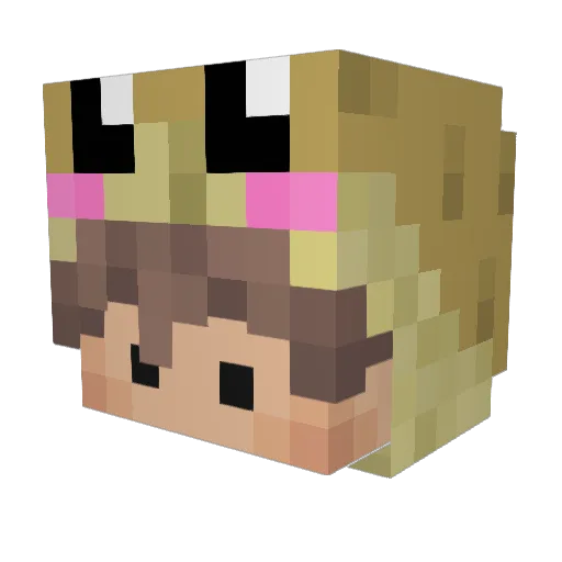 geplant Minecraft avatar head, 3D render