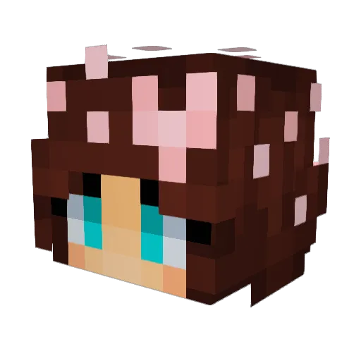 gerber_puffs6969 Minecraft avatar head, 3D render