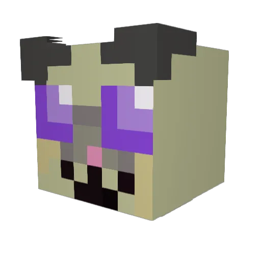 gerbil_lover9 Minecraft avatar head, 3D render