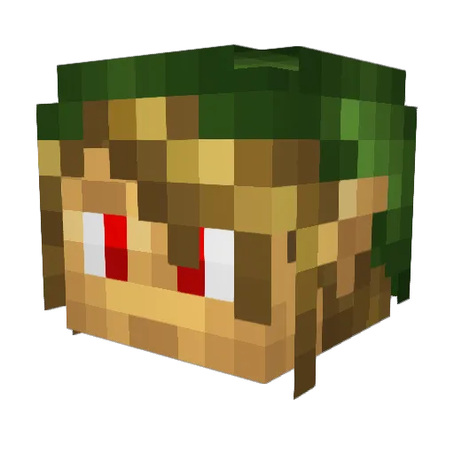 get2techoppa Minecraft avatar head, 3D render