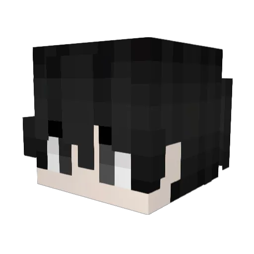 getClass Minecraft avatar head, 3D render