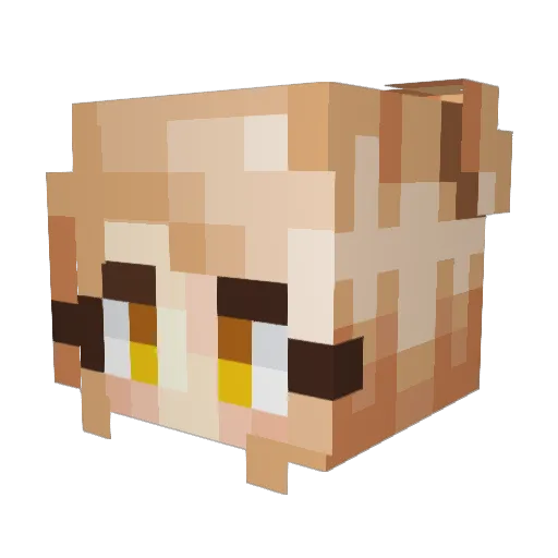 getoffenris Minecraft avatar head, 3D render