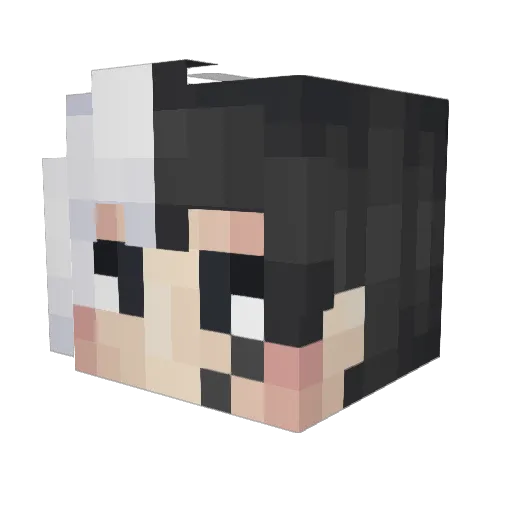 getosfullbush Minecraft avatar head, 3D render