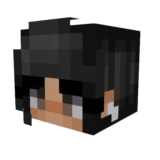 getr3kt01 Minecraft avatar head, 3D render