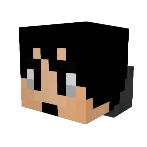gewoonr0bin Minecraft avatar head, 3D render