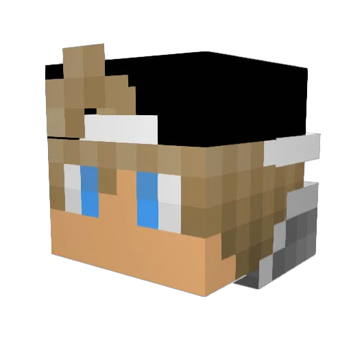 gewoonroantje Minecraft avatar head, 3D render