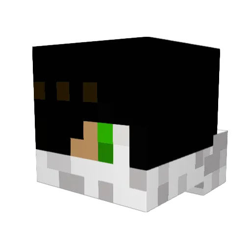 gganjaplanter Minecraft avatar head, 3D render