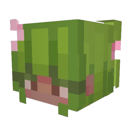 ggawecki Minecraft avatar head, 3D render