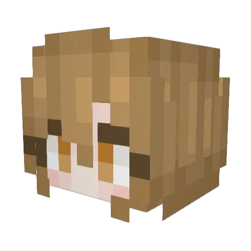 ggggg1 Minecraft avatar head, 3D render