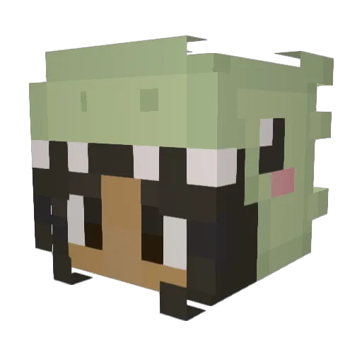 ggiiiaaa Minecraft avatar head, 3D render
