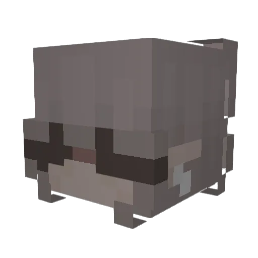 ggrayy Minecraft avatar head, 3D render
