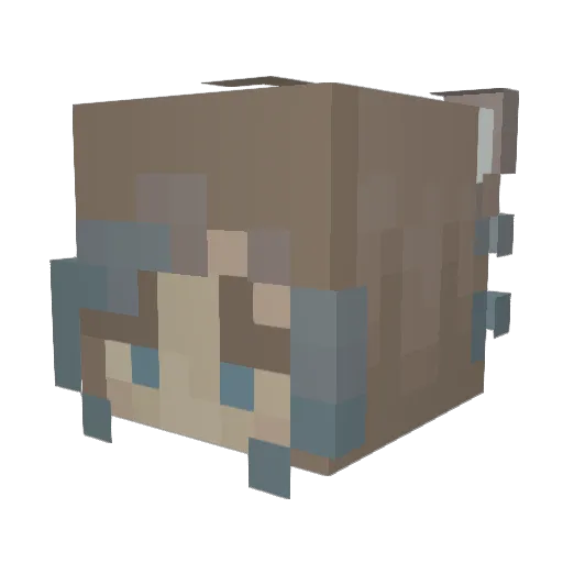 ggson973 Minecraft avatar head, 3D render