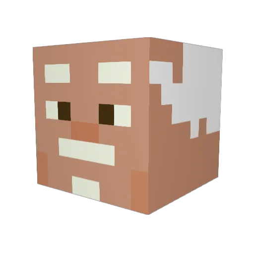 ghjkwerf621 Minecraft avatar head, 3D render